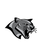 Bloomington-Normal Cougars