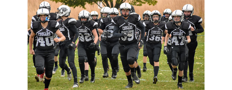 Let's Go Cougars!